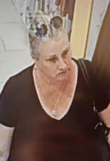 Halton Police searching for woman who stole $300 in clothing