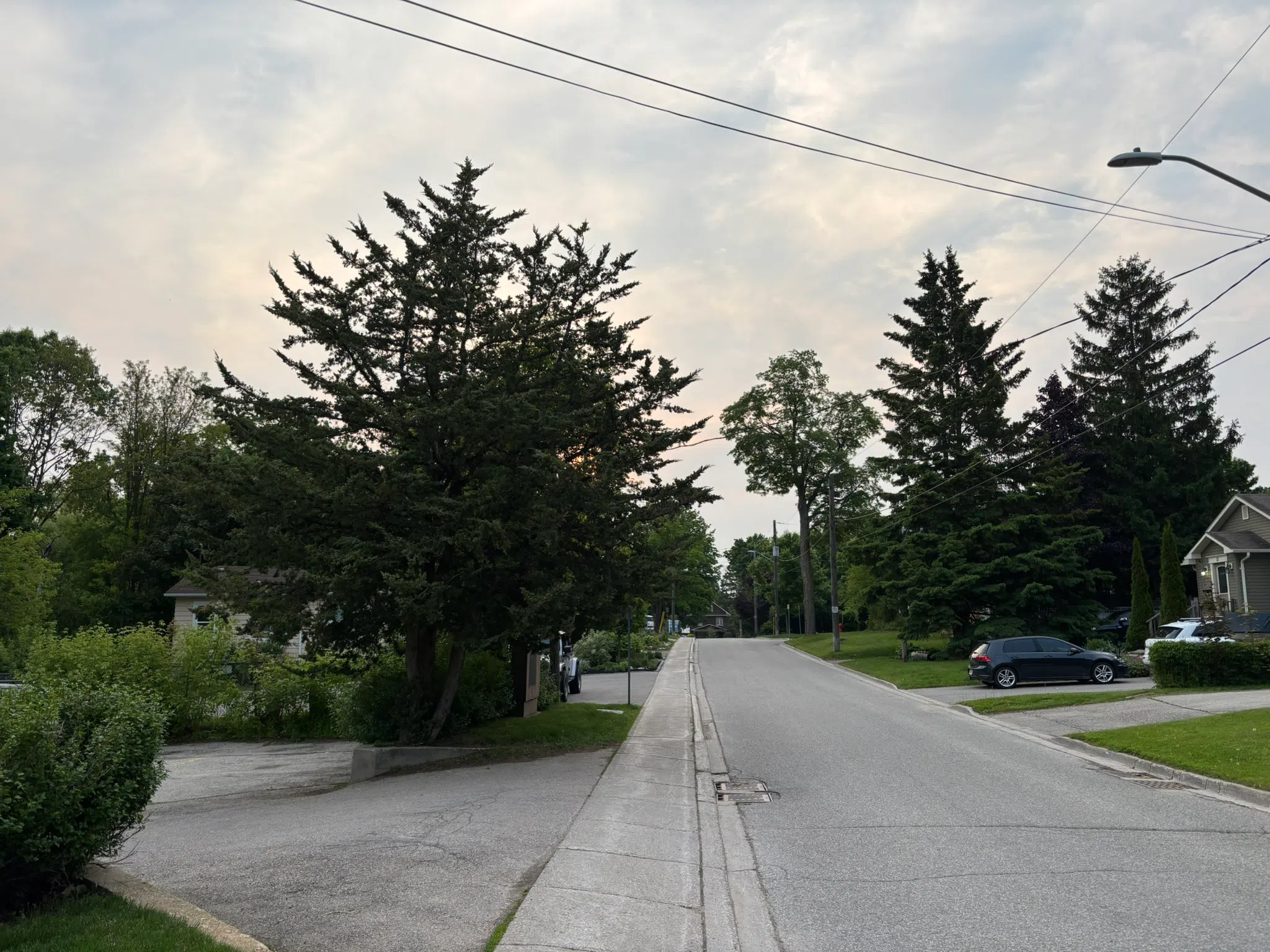 Milton forecast for Friday, June 6th