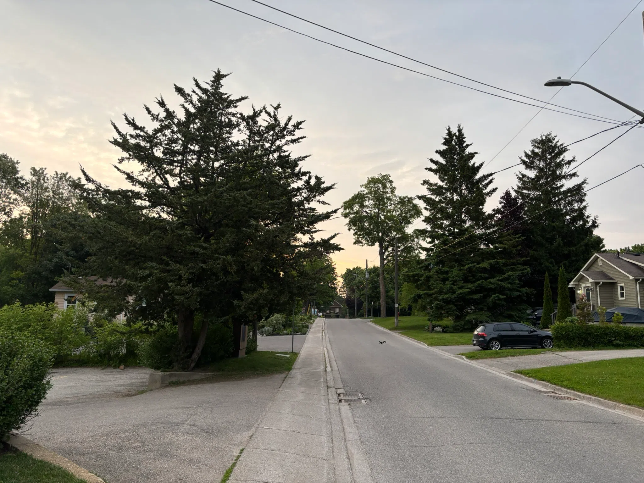 Milton forecast for Thursday, June 12th