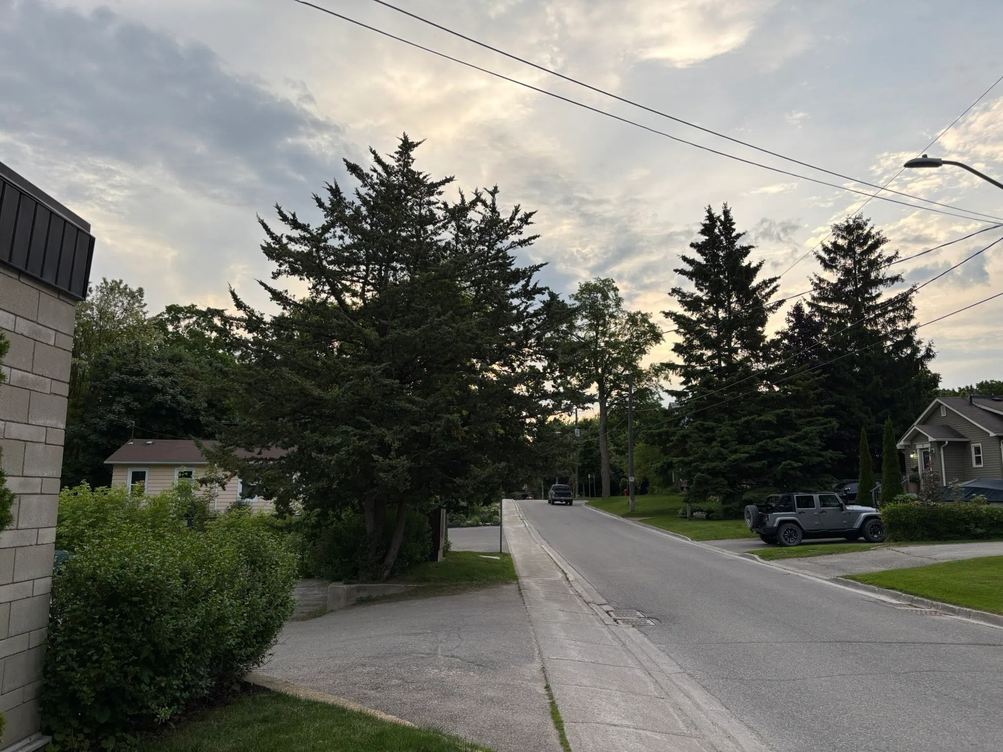 Milton forecast for Friday, June 13th