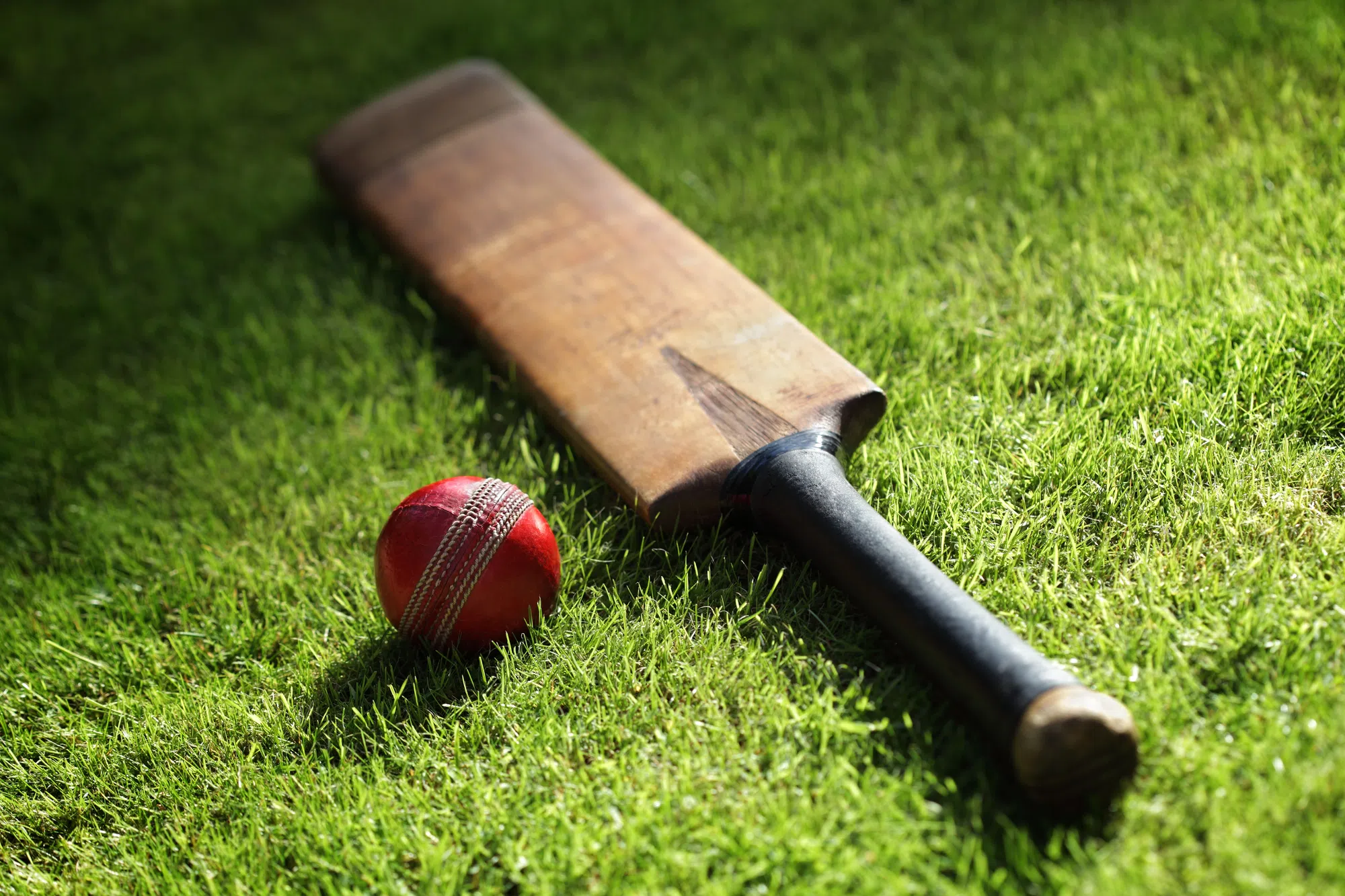 Cricket batting cage announced for Milton park