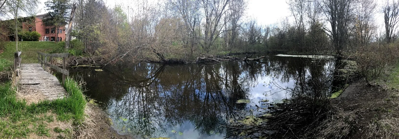 Carlisle Conservation Area's parking lot closes for construction process