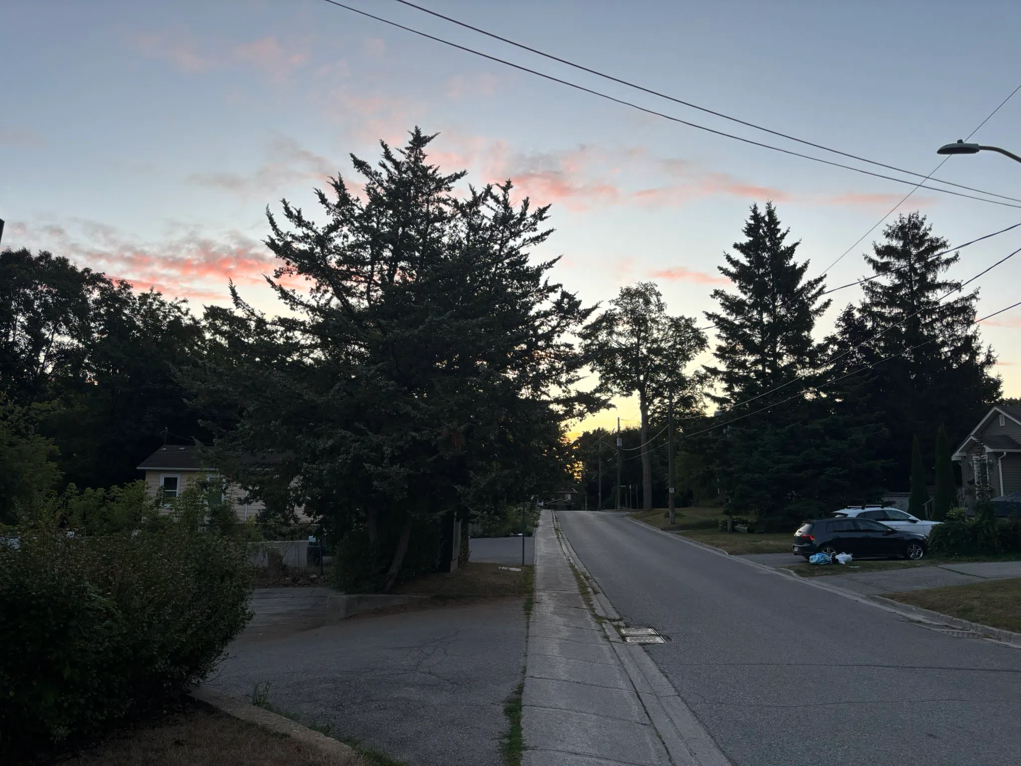 Milton forecast for Monday, August 18th