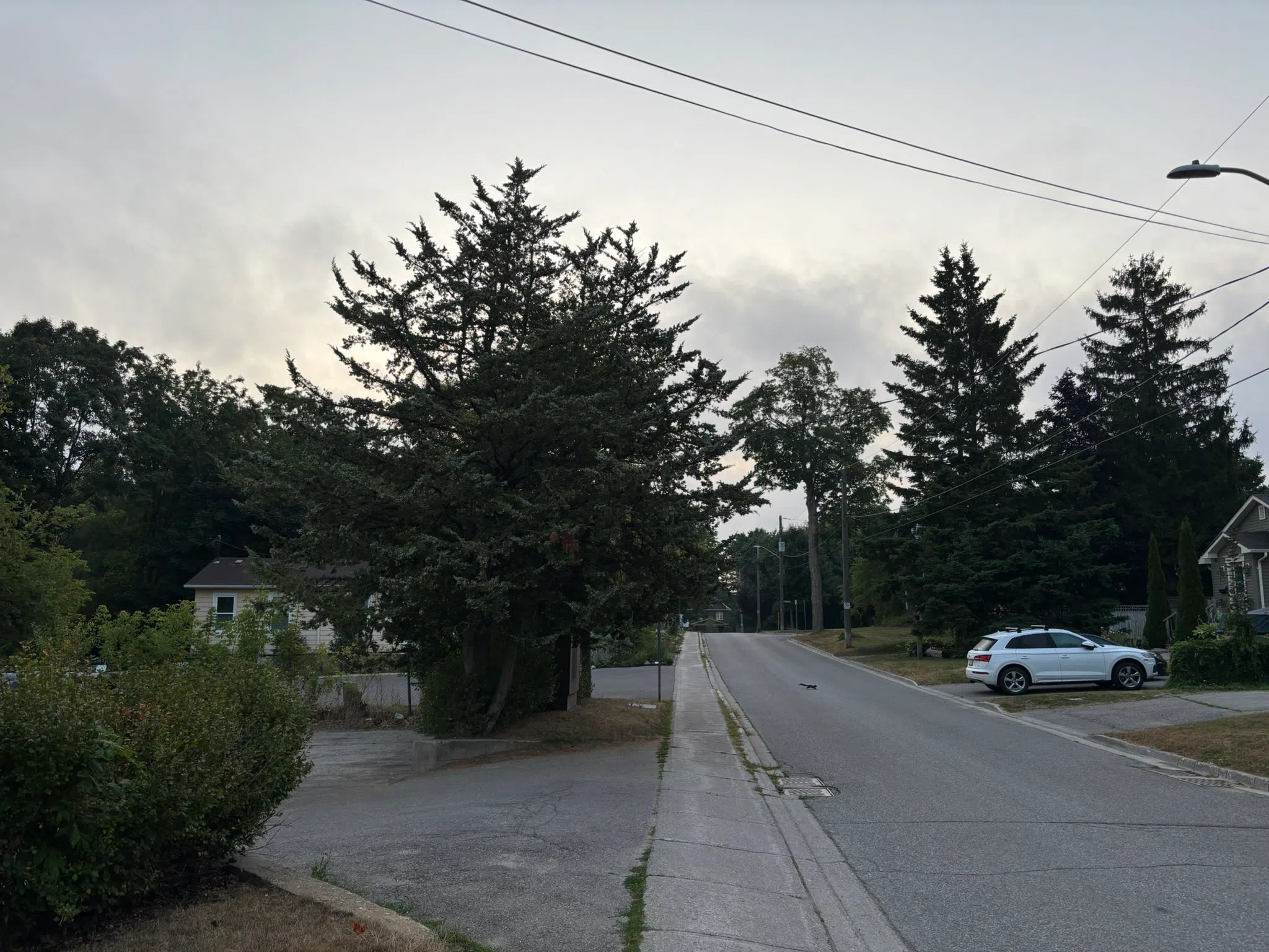 Milton forecast for Thursday, August 14th