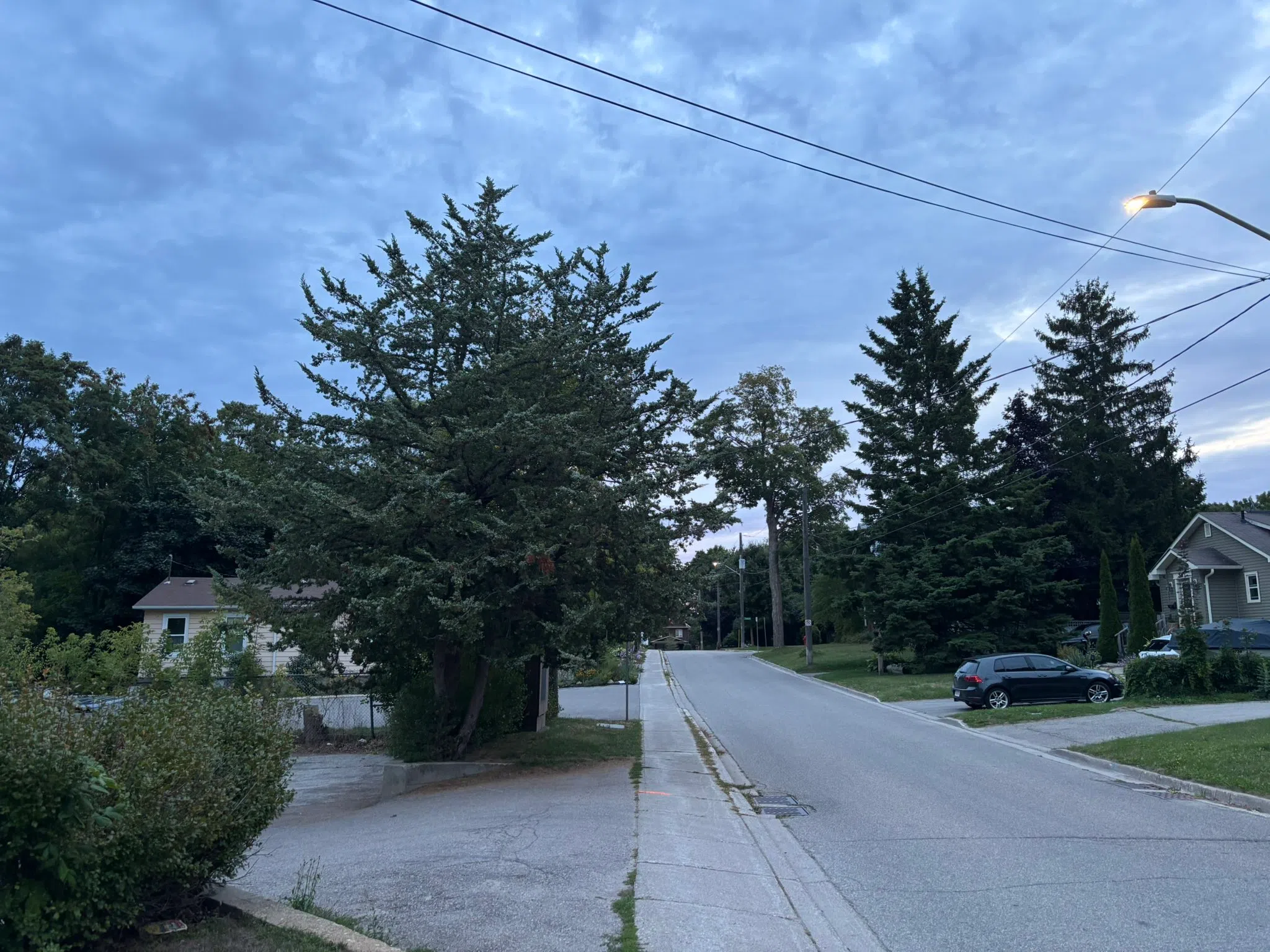 Milton forecast for Thursday, August 28th