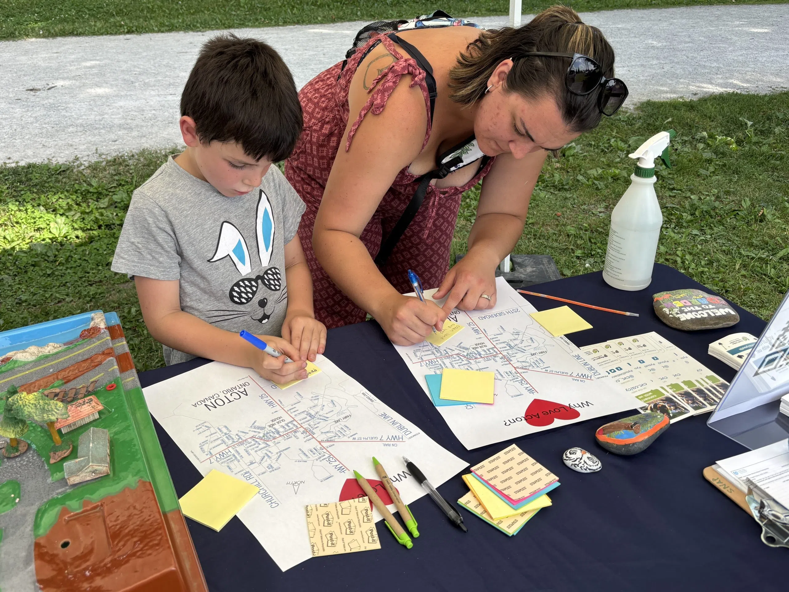 New plan announced to help Acton's natural environment