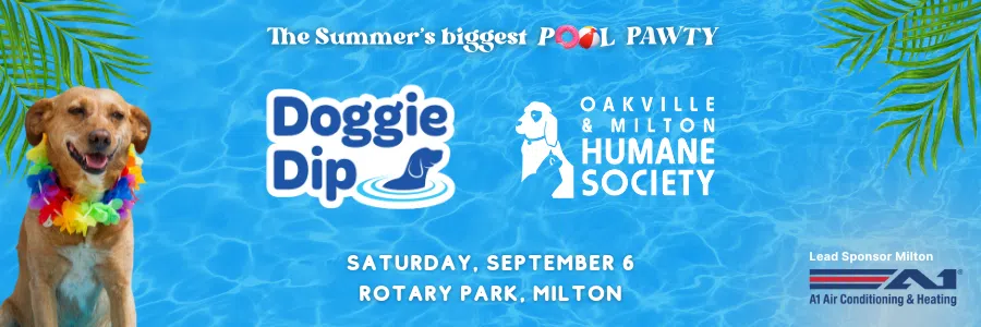 OMHS's Doggie Dip Splashes into Milton and Oakville This Month