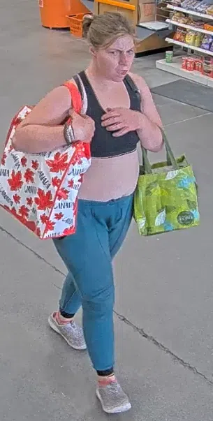 Halton Police searching for Home Depot thief