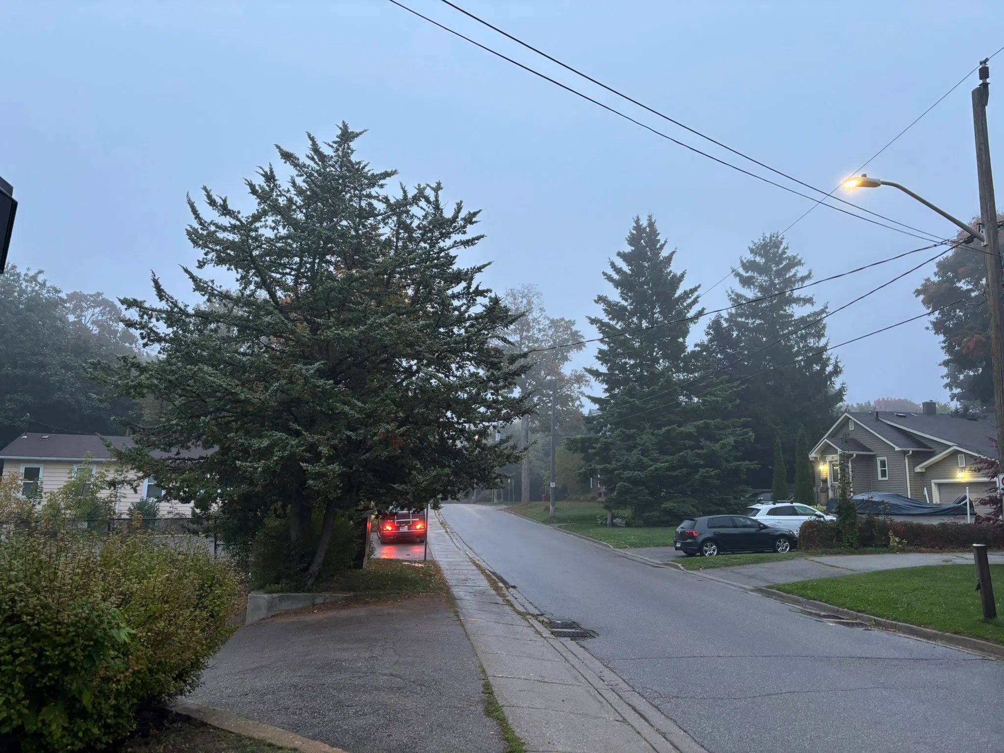 Milton forecast for Thursday, September 25th