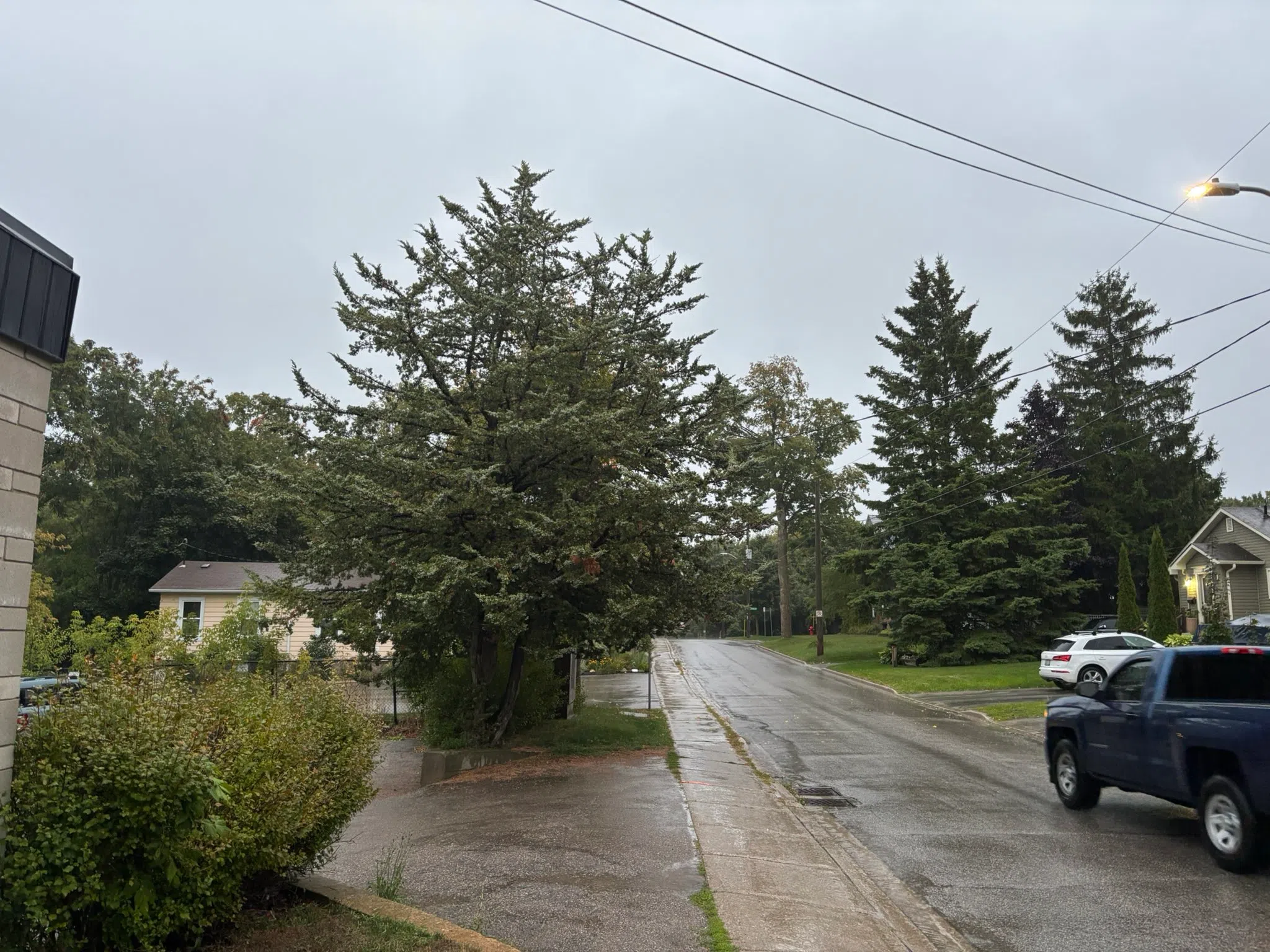 Milton forecast for Thursday, September 4th