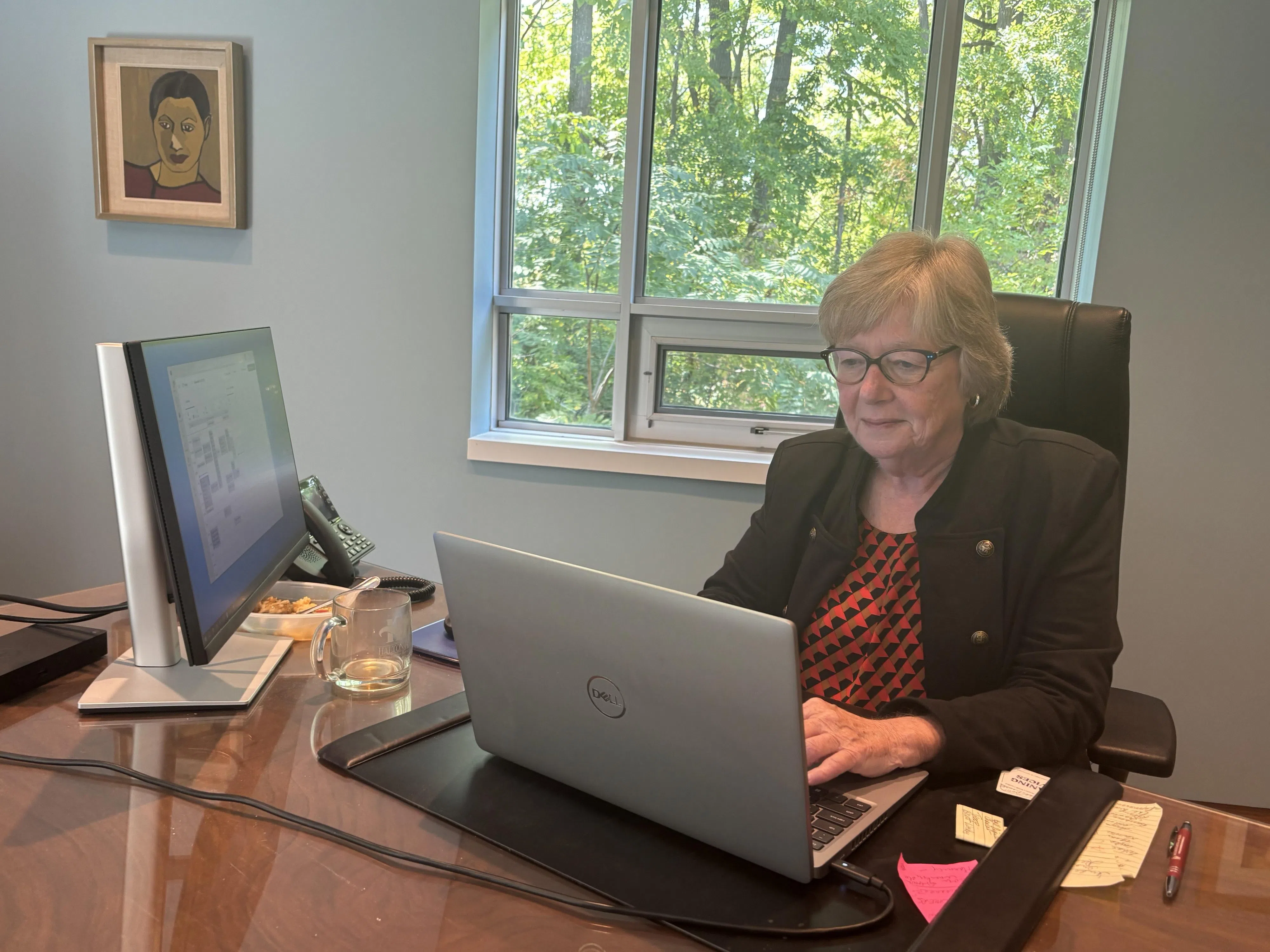 Halton Hills Fire Department launches new online program to improve safety