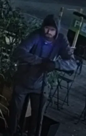 Suspect wanted after rocks thrown through Oakville businesses’ windows
