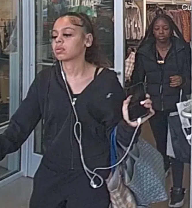Halton Police searching for two suspects in retail theft case