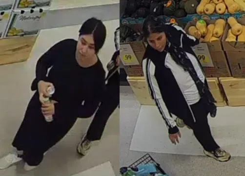 Pair of suspects wanted following Acton theft case