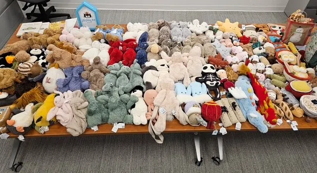Arrests made after Waterloo Police locate hundreds of stolen toys, many from Halton area