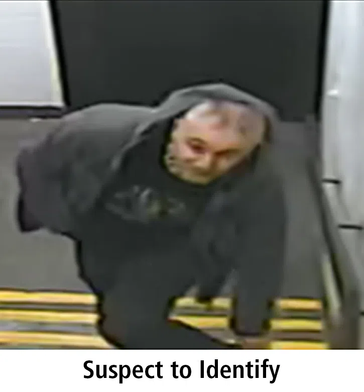 Halton Police arrest repeat break-and-enter suspect, another remains at large