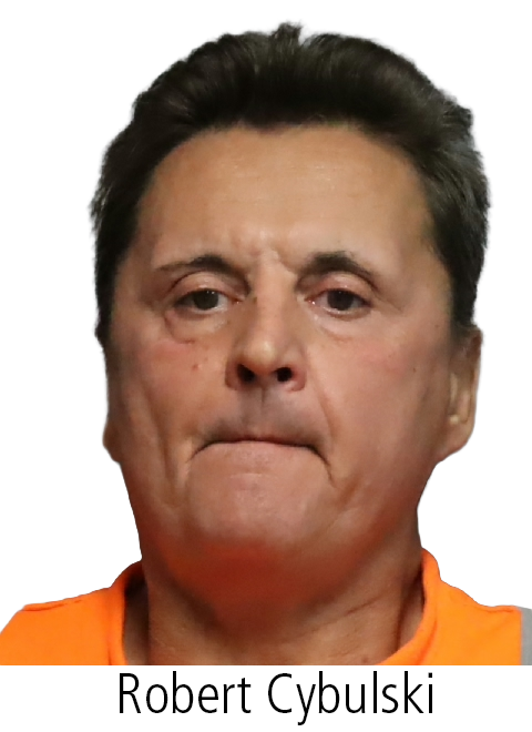 Cat burglar arrested following Campbellville break-in