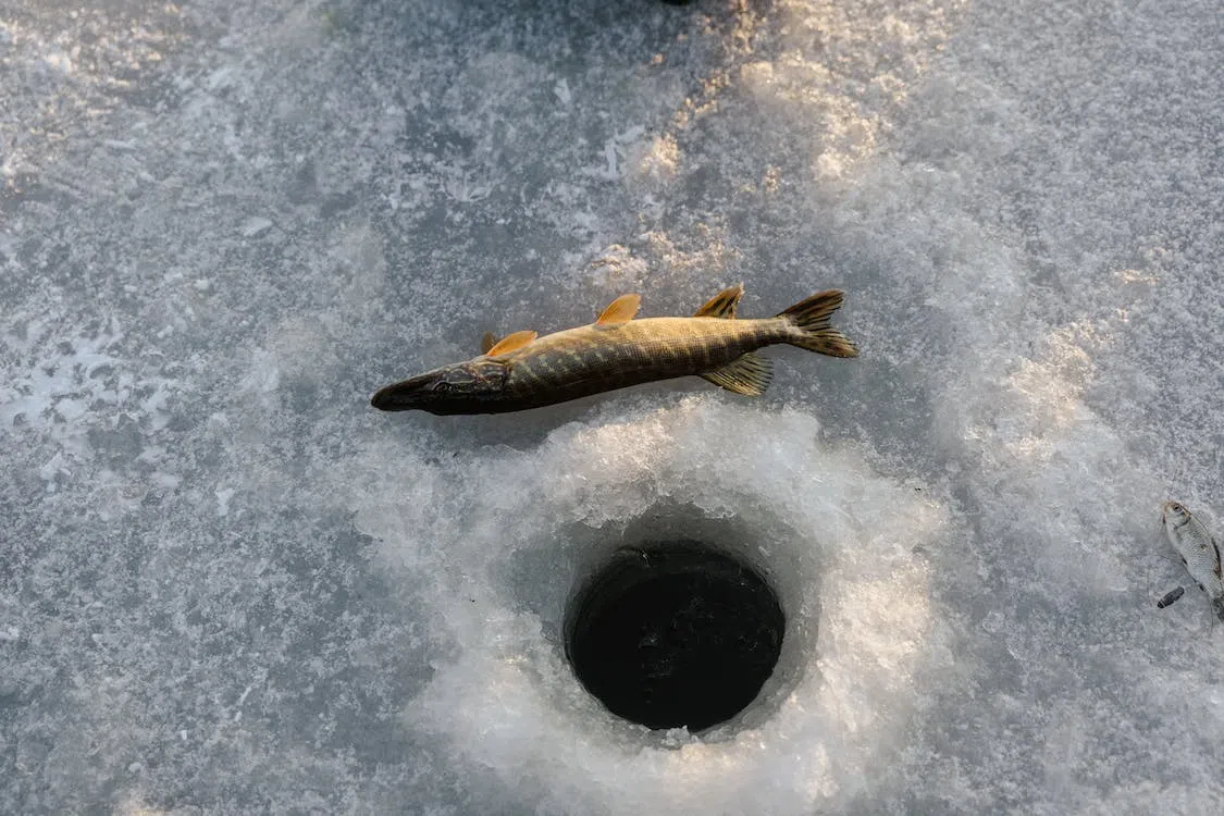 Get started ice fishing