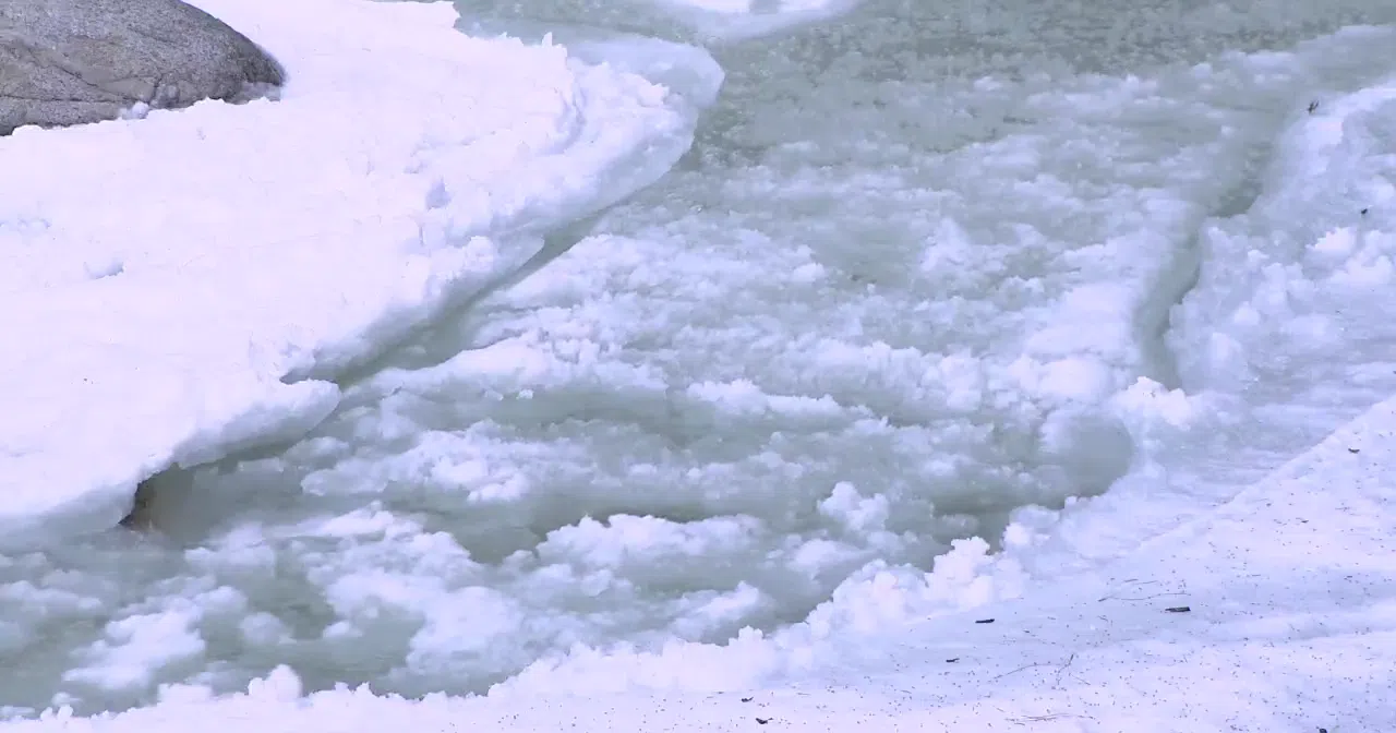 Flood Watch issued for Trent River Ice jams, high water levels pose risk to lowlying areas