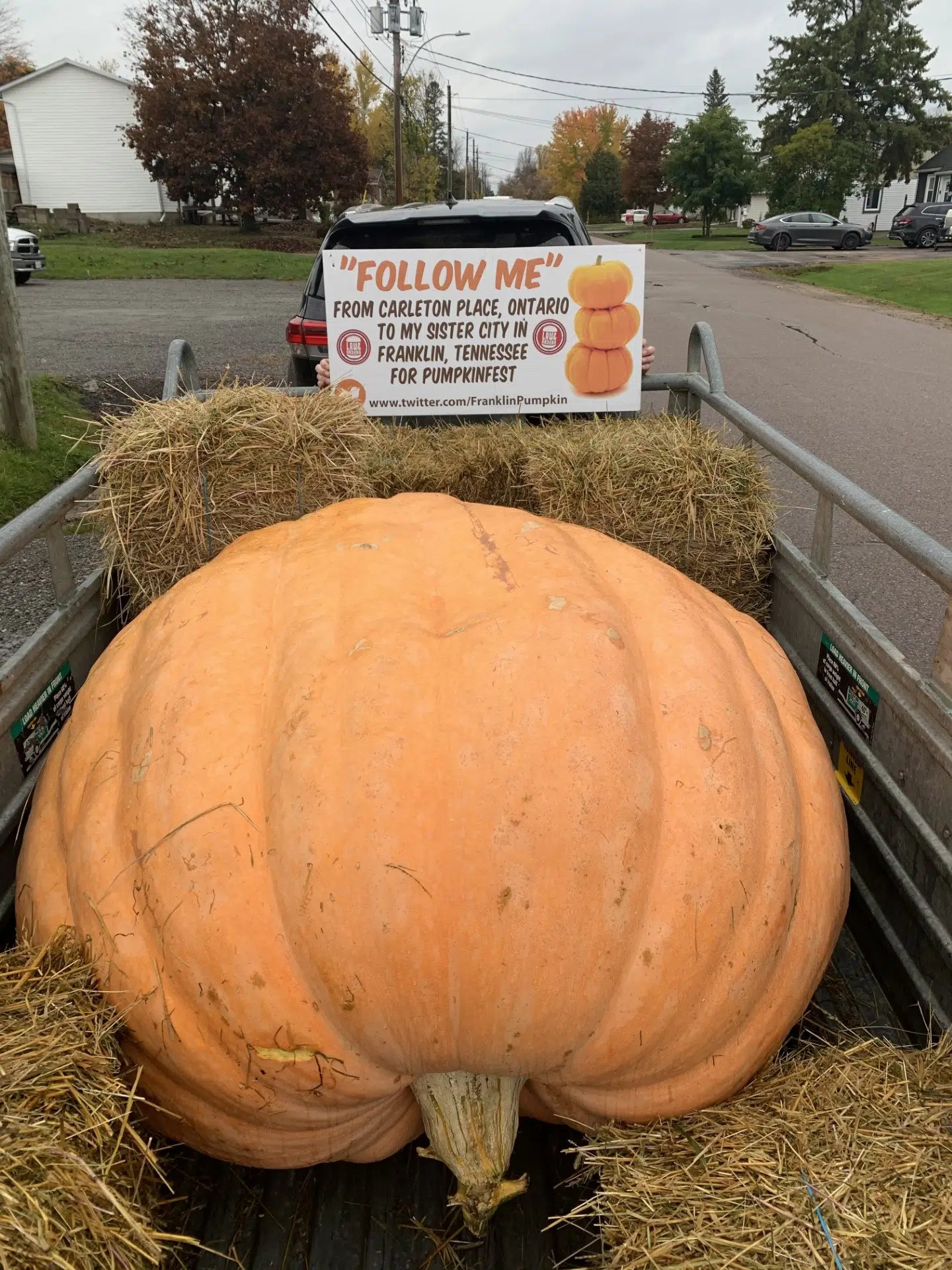 Local restaurant shows off massive pumpkin with Franklin, Tennessee