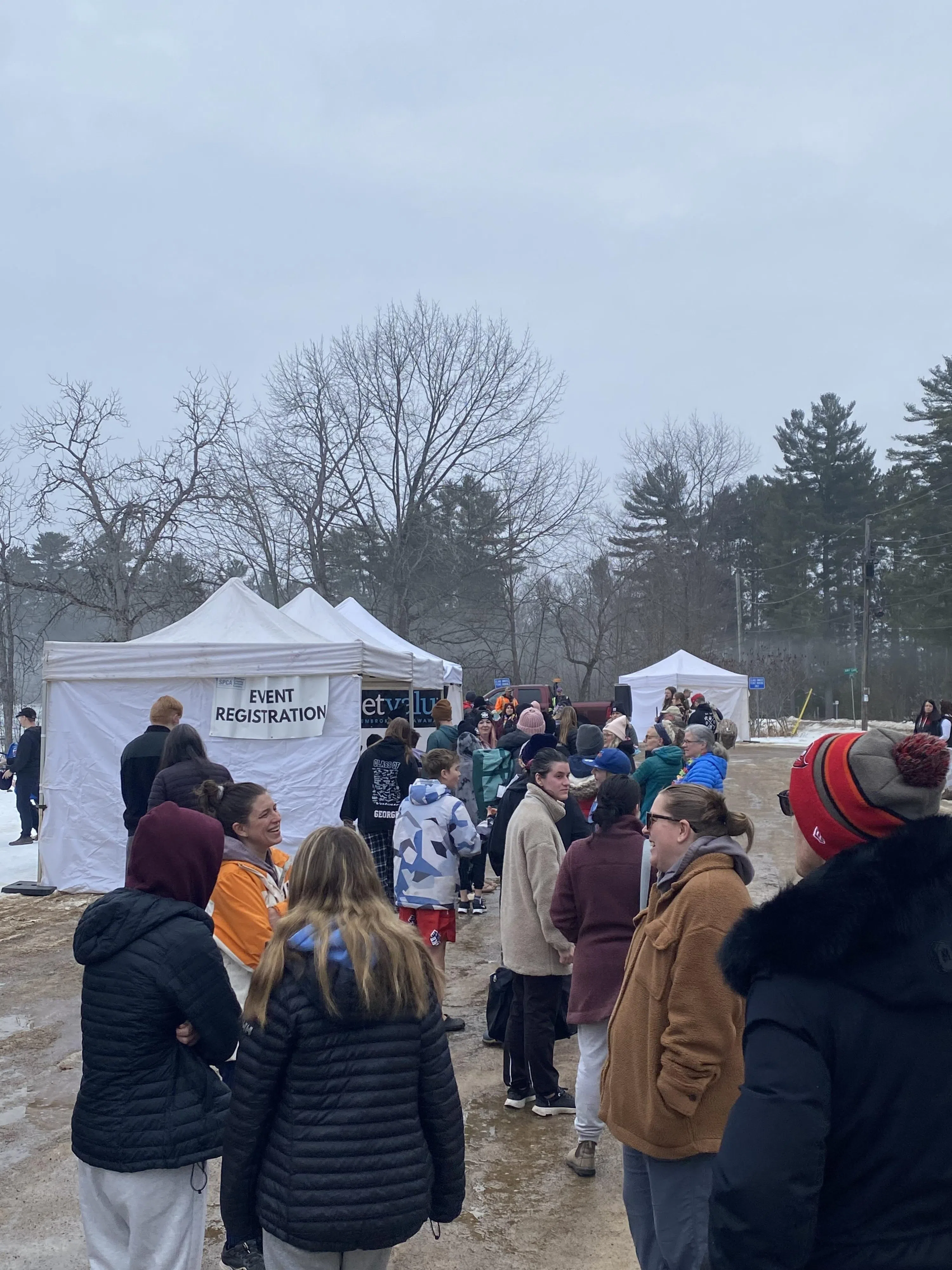 OSPCA Polar Plunge raises over $10,000 | 104.9 Pembroke Today