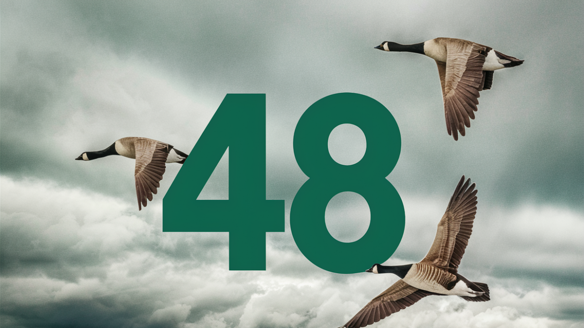 'The 48': Don't miss events in Pembroke and area | 104.9 Pembroke Today - Vimarsana News