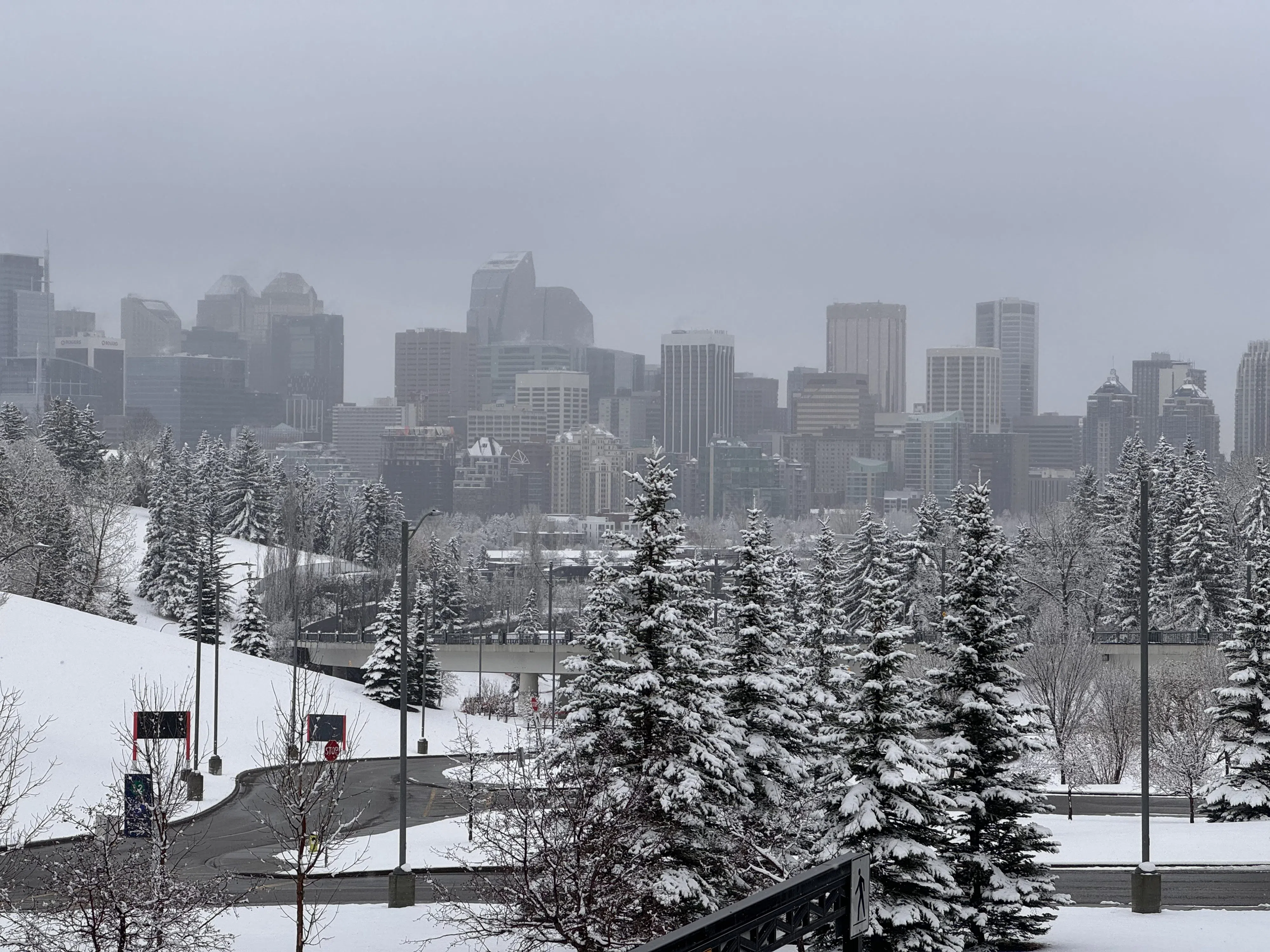 Calgary street cleaning postponed to winter weather