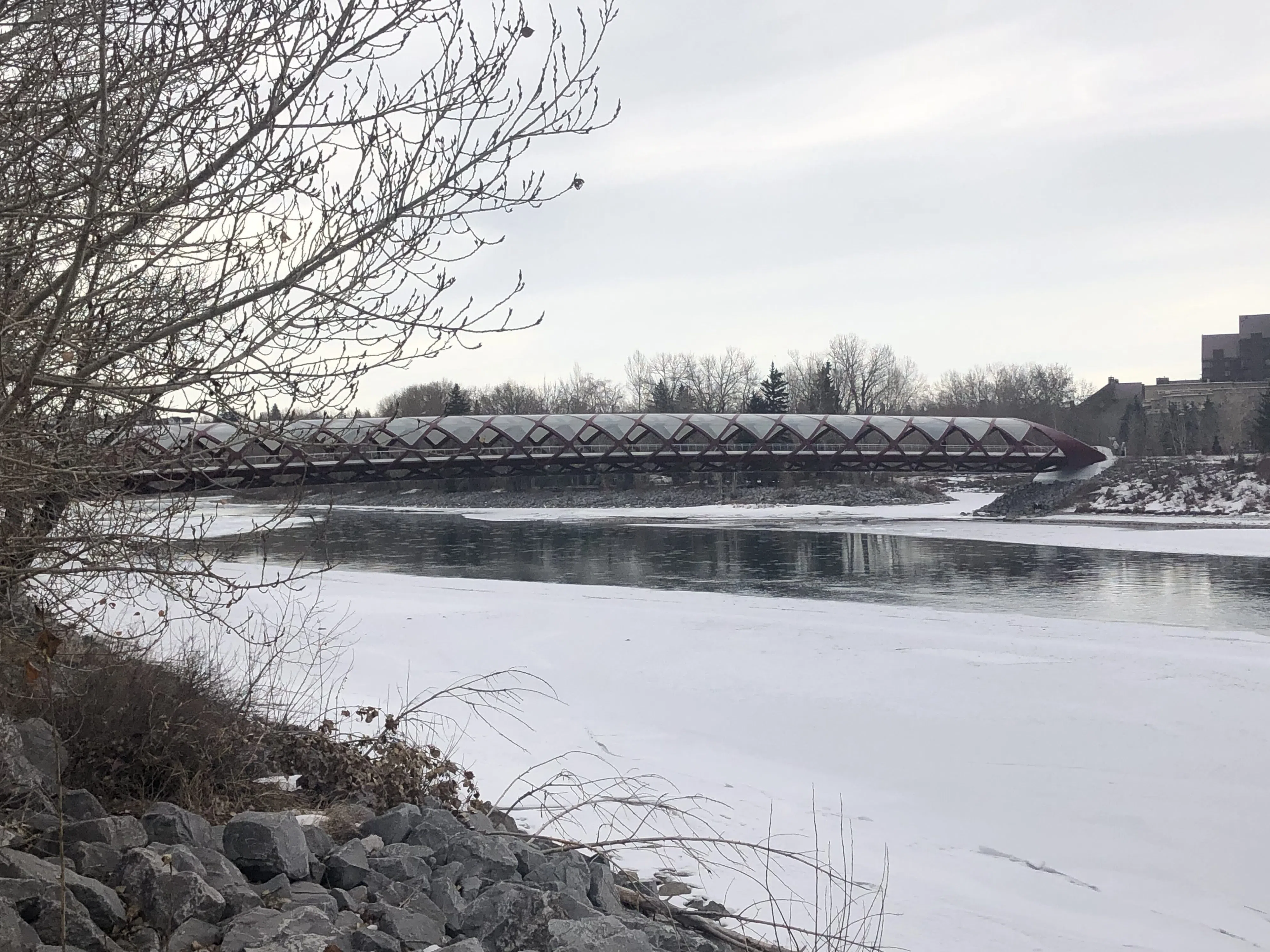 Weather Whiplash: Calgary weather going from 10 to -15 over the week