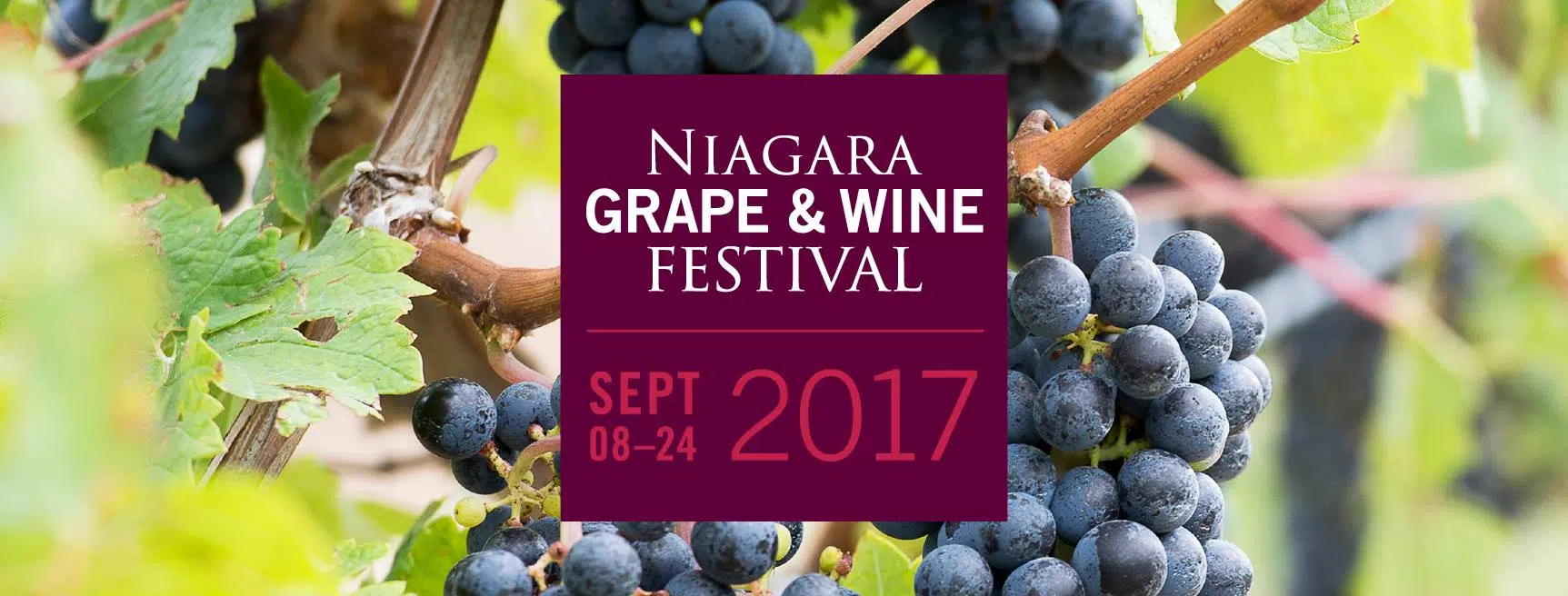 Niagara Grape and Wine Festival VIP Packs