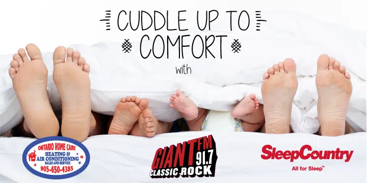 Cuddle Up To Comfort