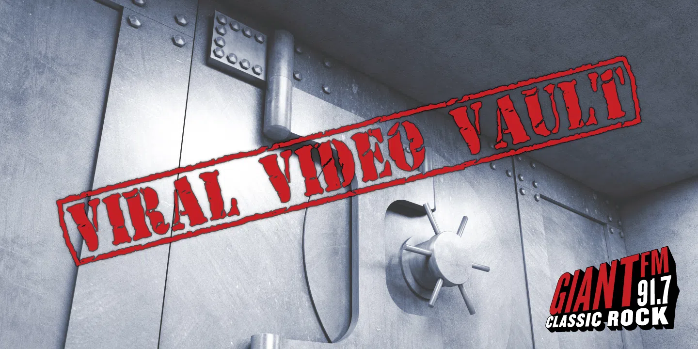 Viral Video Vault