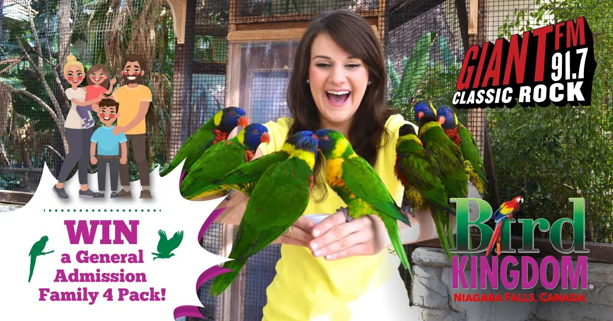 WIN a Tropical Adventure with Bird Kingdom!