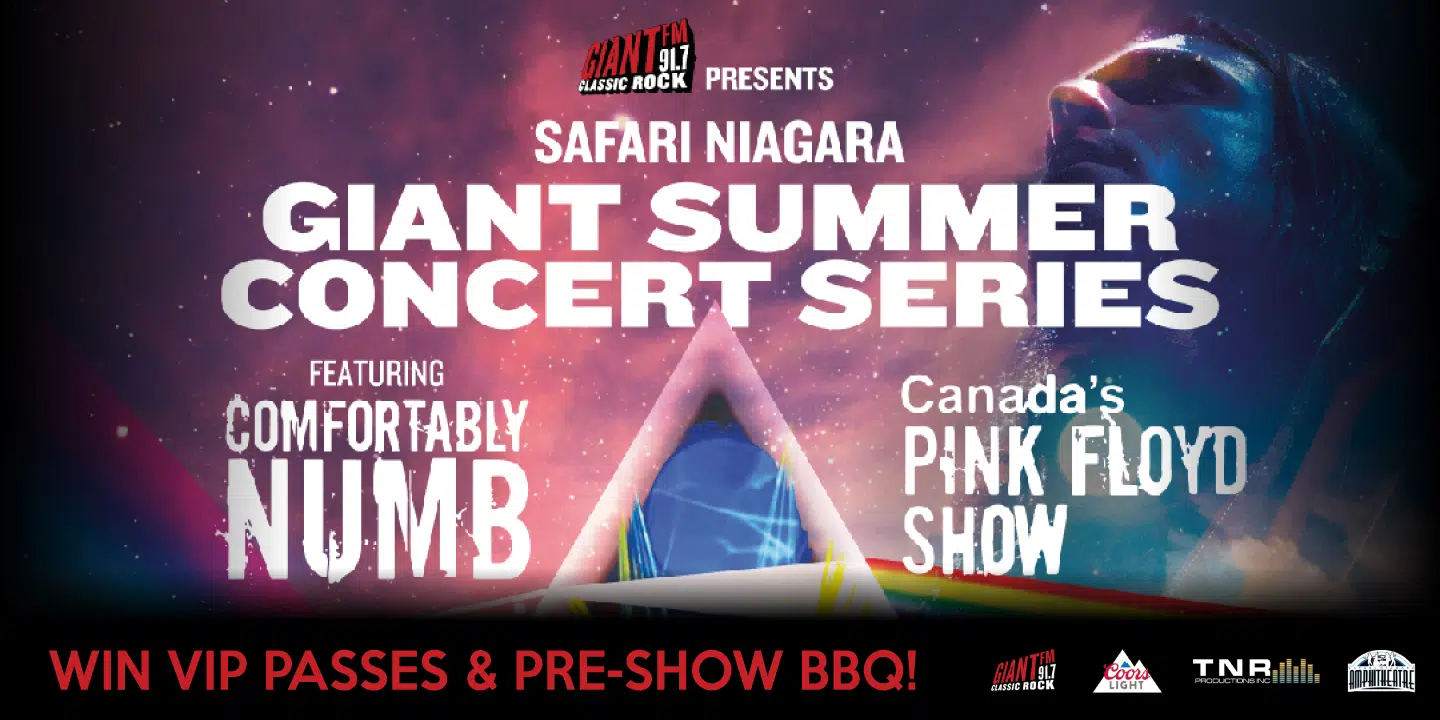 safari niagara concert tickets