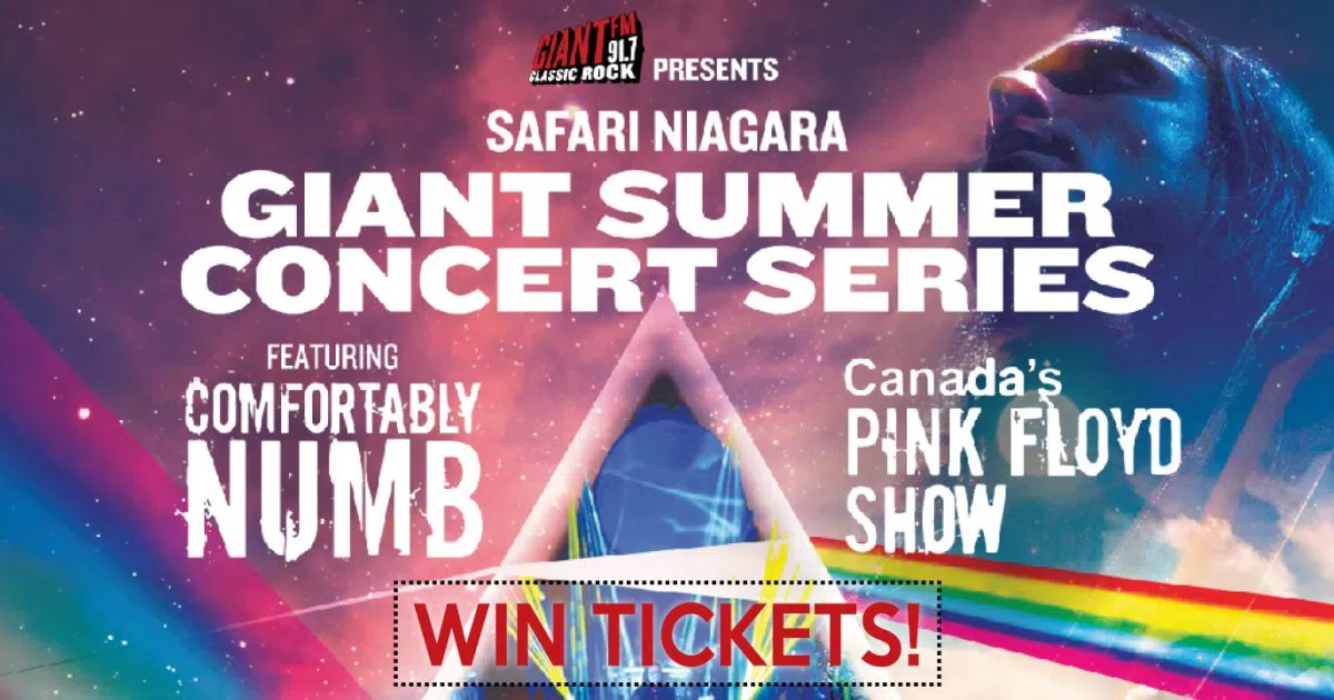 Safari Niagara Comfortably NumbPink Floyd Show This Saturday! WIN