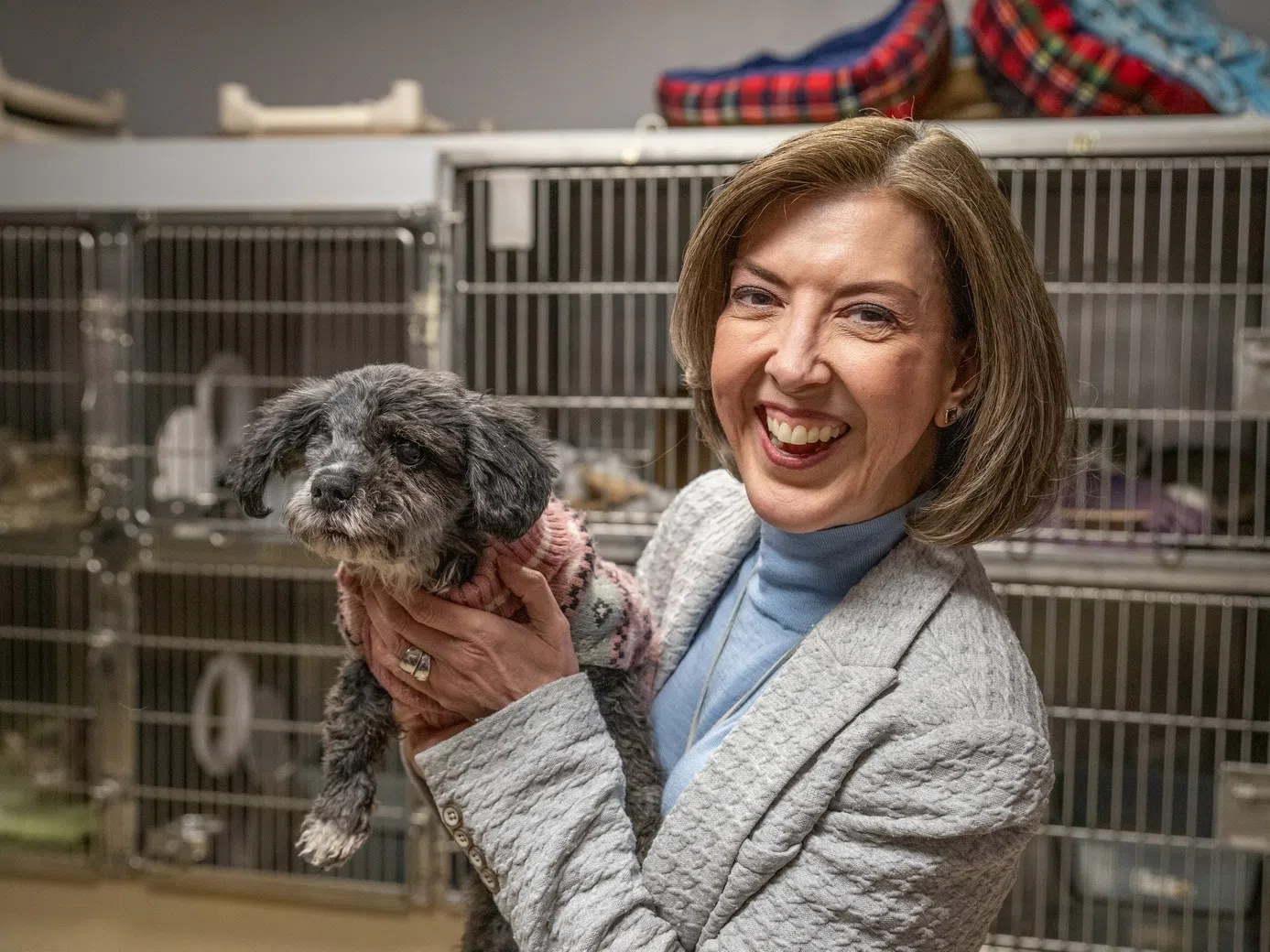 Amelia Bond Former Ceo Of The St Louis Foundation Amelia Canto named new CEO of Niagara SPCA | GiantFM