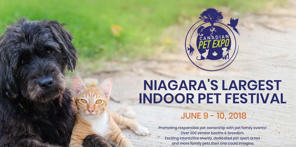 Niagara PET EXPO