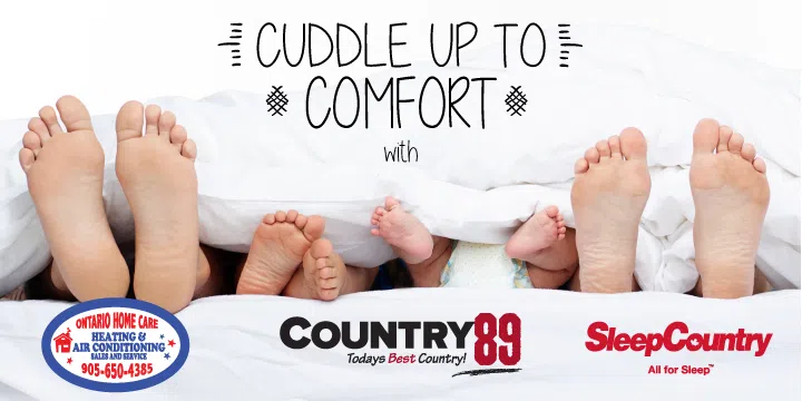 Cuddle Up To Comfort