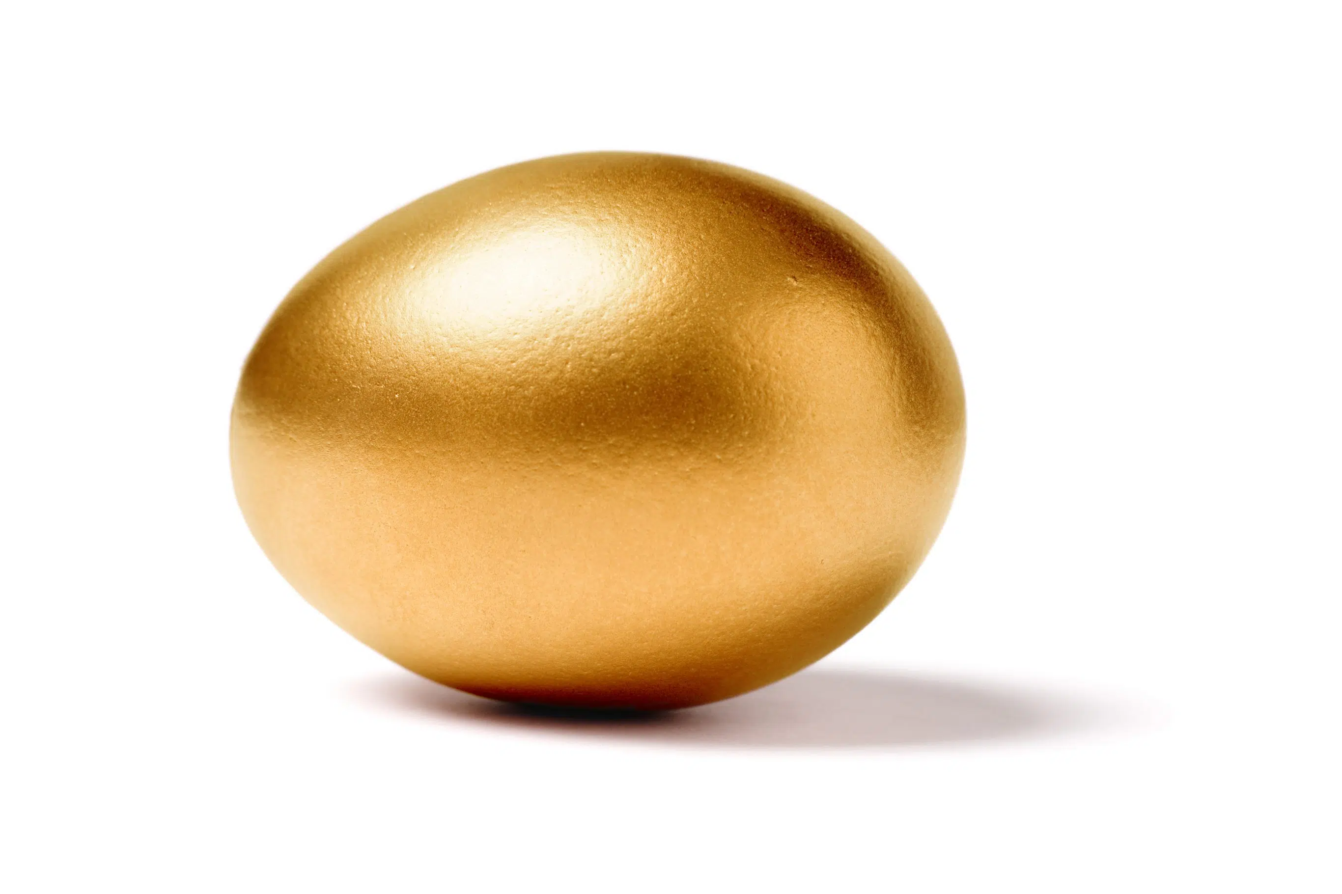 What's in the Egg?  SOLVED!!