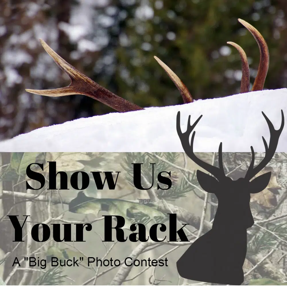 Show Us Your Rack 