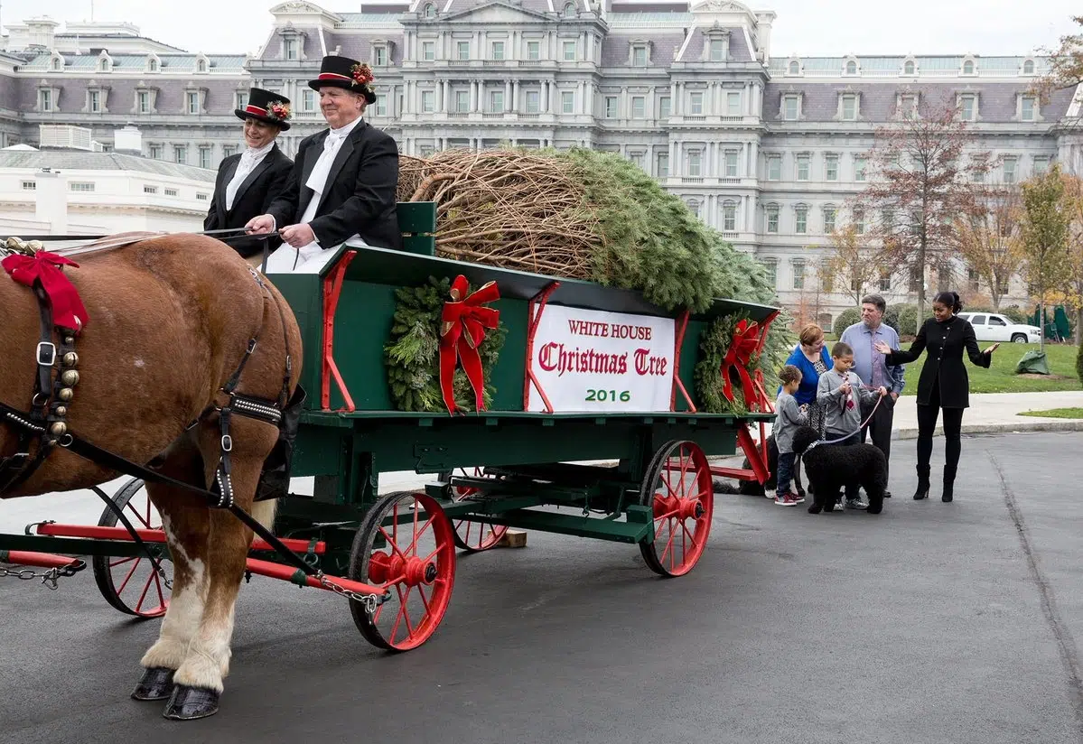 Oconto County Christmas Tree Arrives At The White House (Video)
