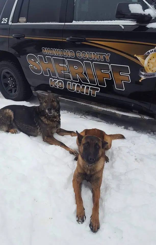 Shawano County Sheriff K-9 Department Transitioning Smoothly With New Addition
