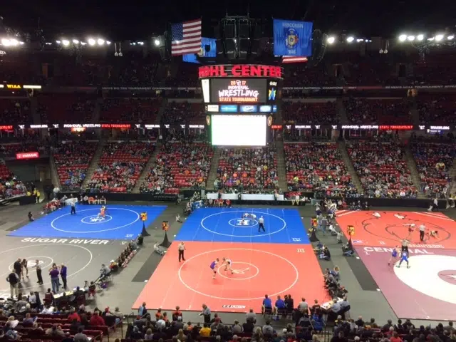 WIAA State Wrestling Placement Match Results: 10 Area Champions Crowned