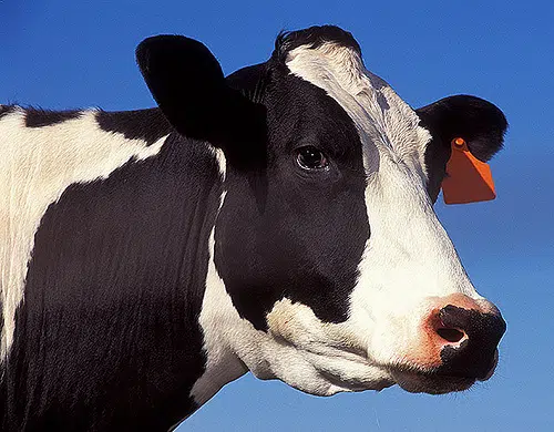 Local Farmer Still Has Milk Transport Concerns