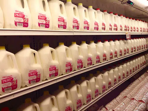 Dairy Farmers Milk Dumping To Start Next Week