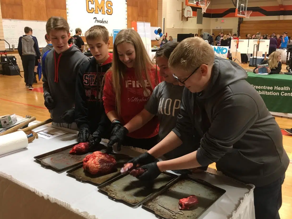 Career fair gives area 8th graders first-hand look at local career opportunites