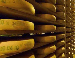 Cheese close to becoming the official state dairy product of Wisconsin