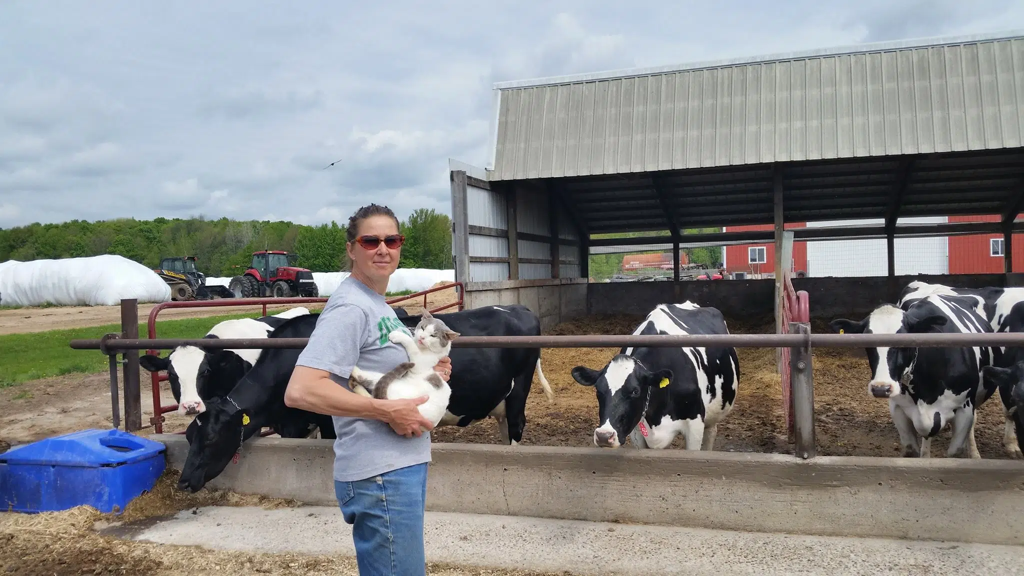 June Dairy Month Farm Stop: Patty and Irvin Stadler do it all on their farm in Birnamwood