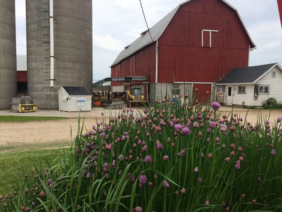 June Dairy Month Farm Stop: Zahn Farm surpasses 150-year mark