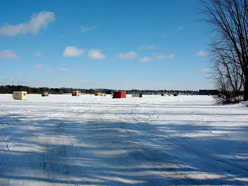 Time for tip ups! Update on ice and fishing conditions
