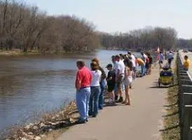 Lake sturgeon spawning